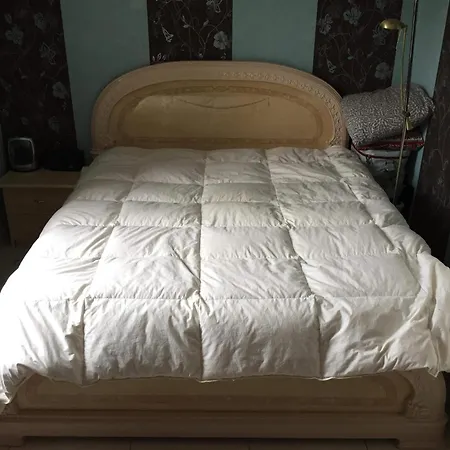 Pensionat Fastrentbnb Cozy *